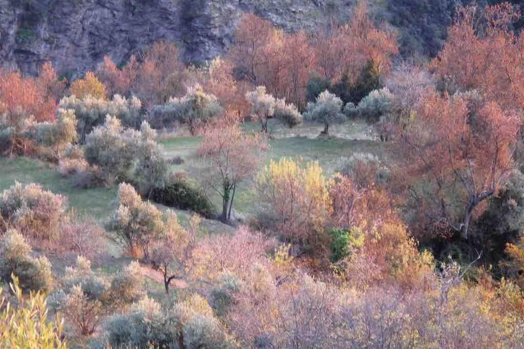 Casa Carmela, Rural House With Spectacular Views, In An Exquisite Area * Atalbeitar