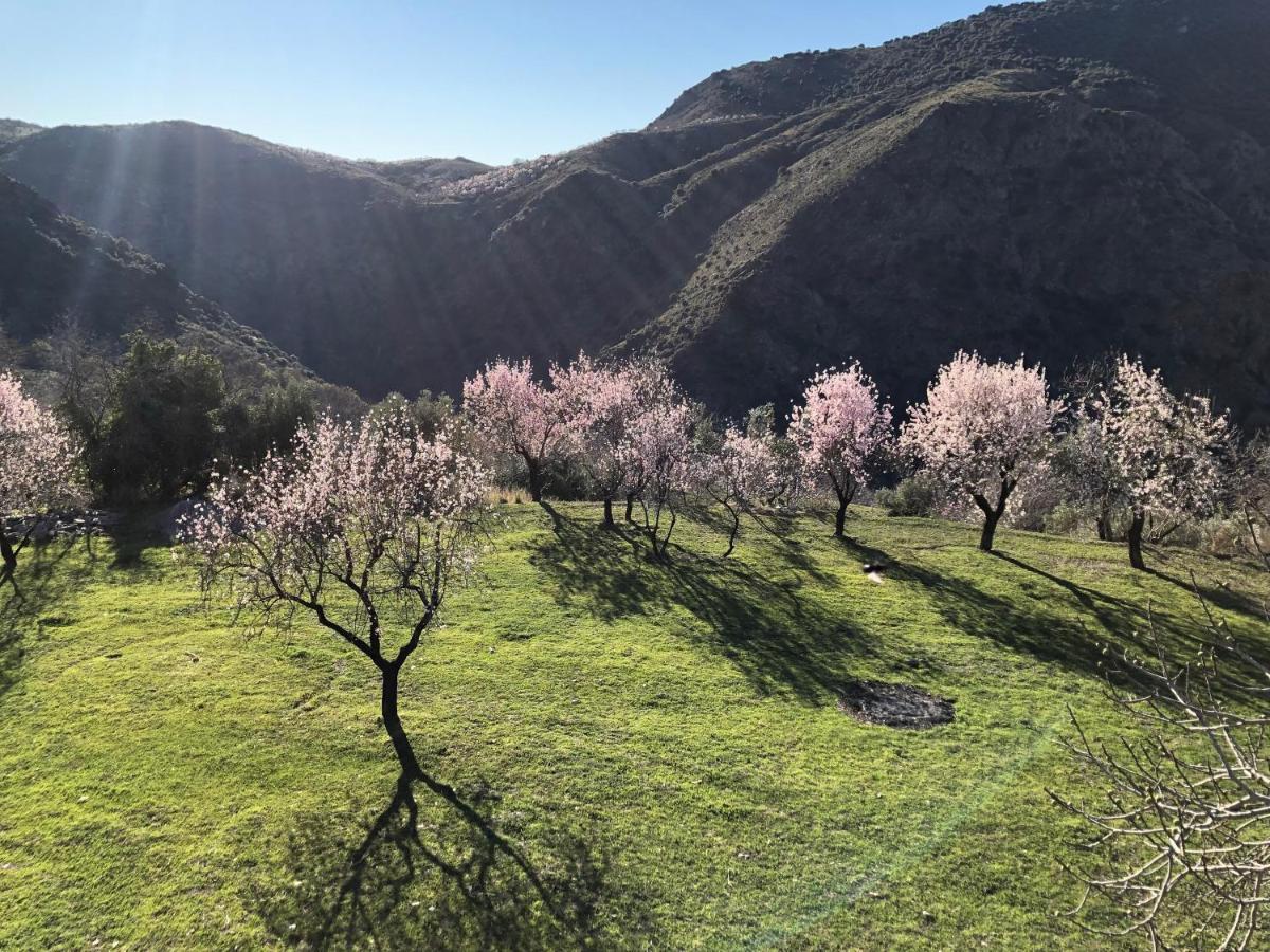 Casa Carmela, Rural House With Spectacular Views, In An Exquisite Area Atalbeitar