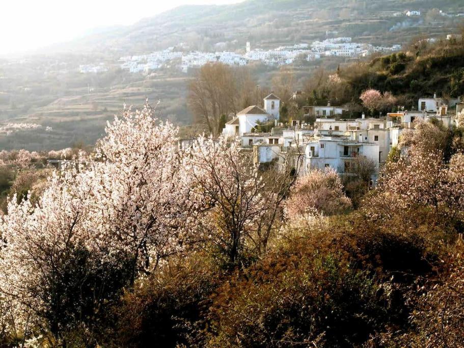 Casa Carmela, Rural House With Spectacular Views, In An Exquisite Area