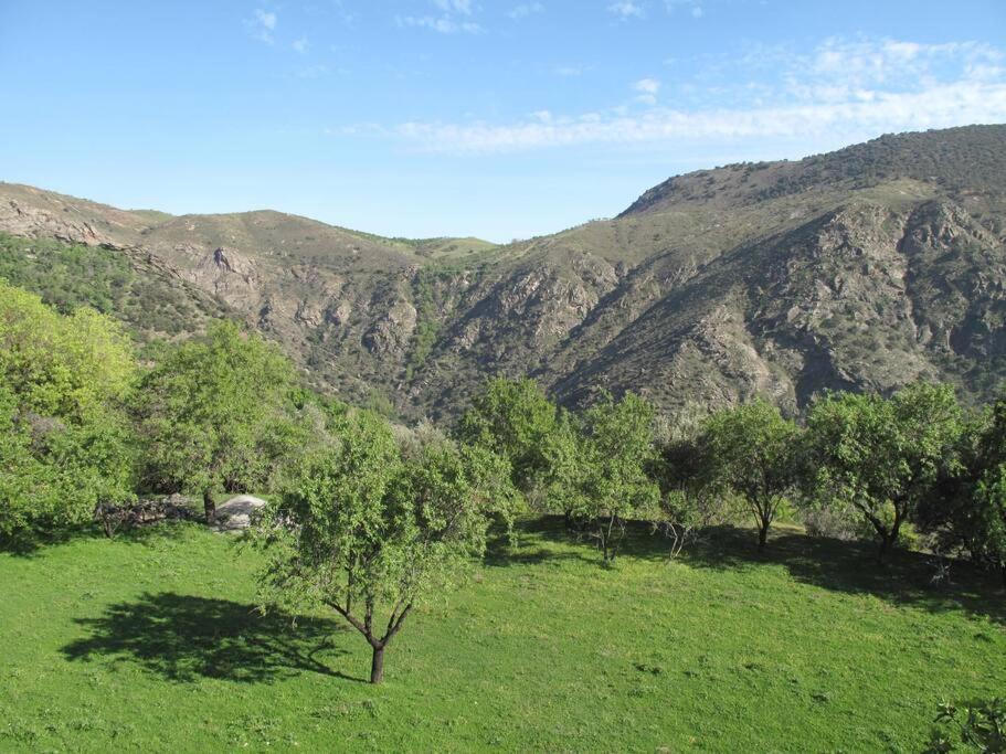 Holiday home Casa Carmela, Rural House With Spectacular Views, In An Exquisite Area