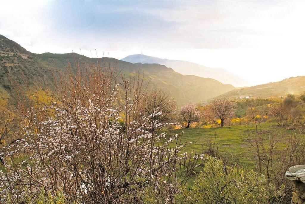 Casa Carmela, Rural House With Spectacular Views, In An Exquisite Area *