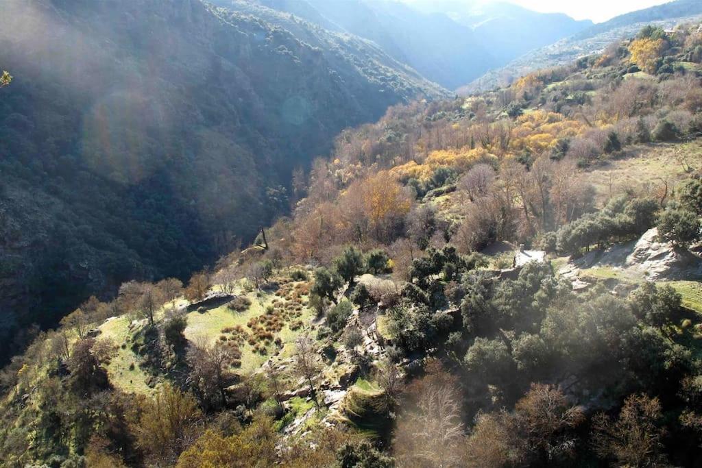 Holiday home Casa Carmela, Rural House With Spectacular Views, In An Exquisite Area *