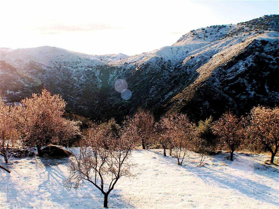 Casa Carmela, Rural House With Spectacular Views, In An Exquisite Area Holiday home