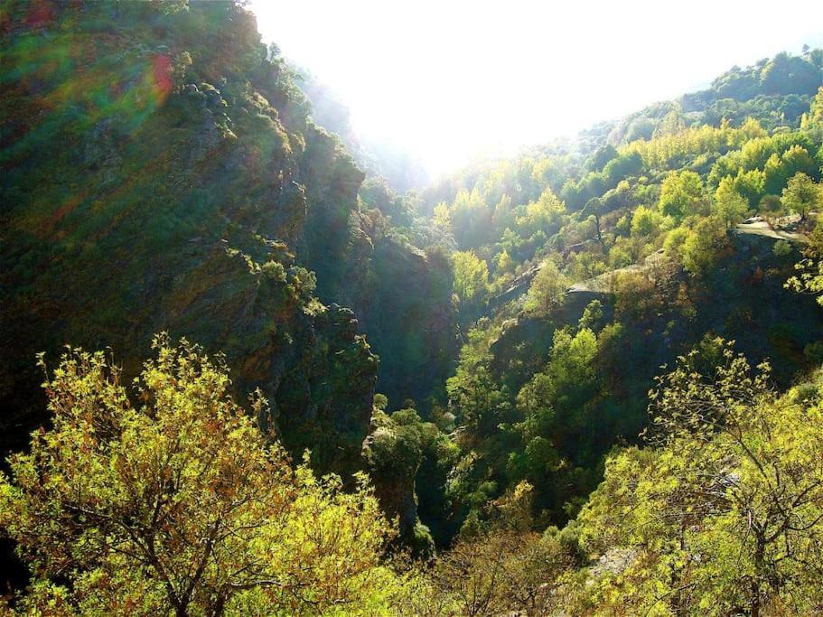 Holiday home Casa Carmela, Rural House With Spectacular Views, In An Exquisite Area *