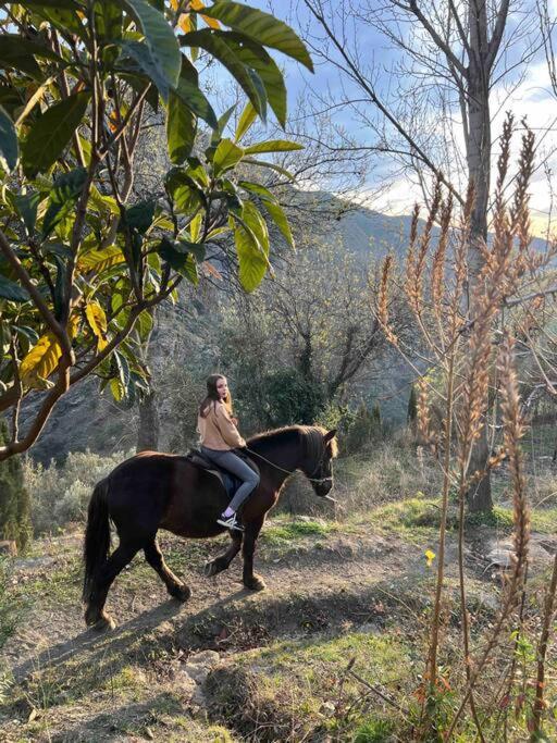 Casa Carmela, Rural House With Spectacular Views, In An Exquisite Area *