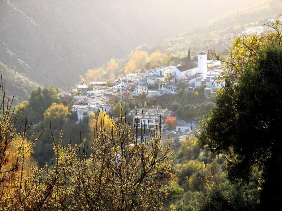 Casa vacanze Casa Carmela, Rural House With Spectacular Views, In An Exquisite Area
