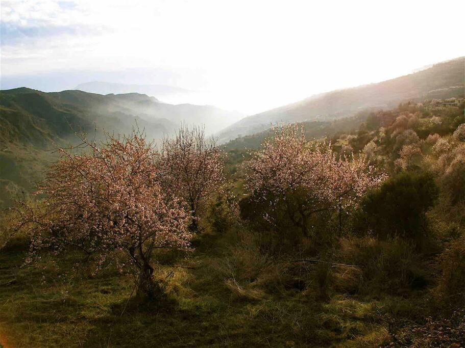 Casa Carmela, Rural House With Spectacular Views, In An Exquisite Area Casa vacanze