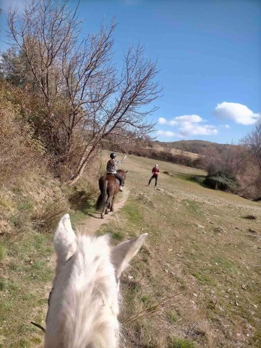 Casa Carmela, Rural House With Spectacular Views, In An Exquisite Area * Atalbeitar